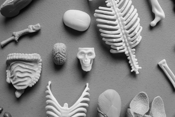 What strategies should UK family practitioners adopt to enhance preventive care for cardiovascular diseases?